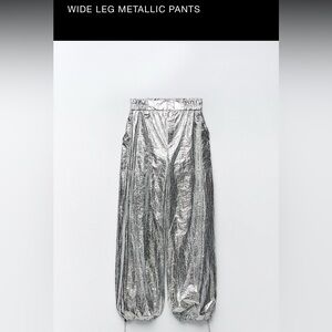 Silver Metallic Women's Pants